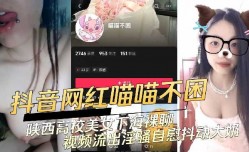 陕西高校美.女下海裸.聊视频流出