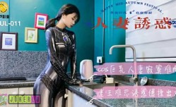 葫芦影业 HLW011 人/妻诱惑封面