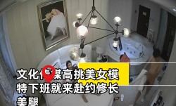 文化传媒高挑美.女模特下班就来赴约修长美.腿太诱人不同意内/射被小伙猛干娇喘呻吟第2炮.换上情趣装搞对白