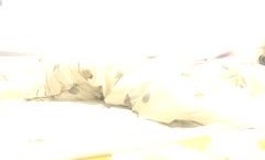 颜值不错大.奶妹mei子JAV看片！【香蕉妹mei妹mei】道具自[zi]慰性.感网袜，舔tian假屌跳蛋塞入拉扯非常诱人，很是诱惑喜欢不要错过